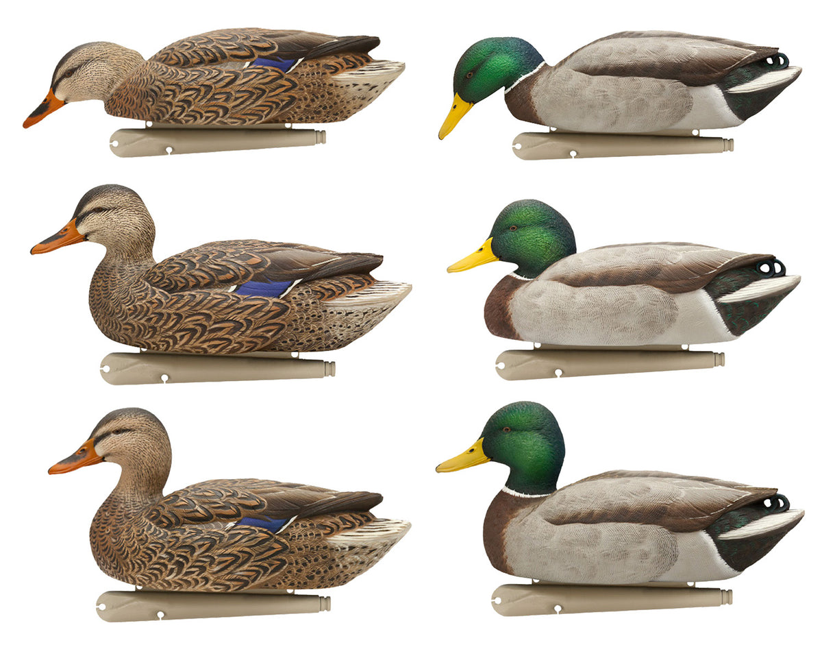 Avian X AVXAVX8076 Topflight Fusion Mallards Floating Duck Decoys Multi-Color 6 Pack