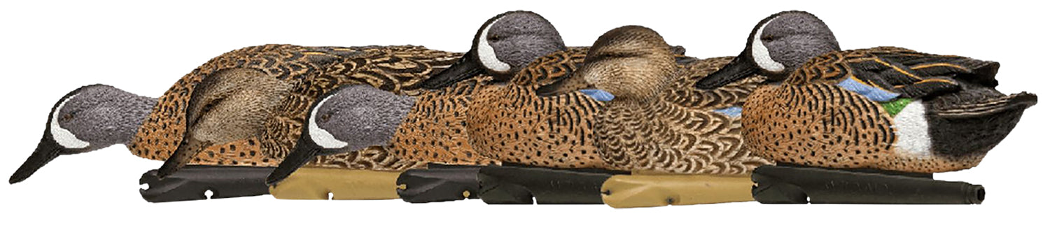 Avian X AVXAVX8080 Topflight Blue-Winged Teal Floating Duck Decoys Multi-Color 6 Pack