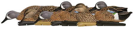 Avian X AVXAVX8080 Topflight Blue-Winged Teal Floating Duck Decoys Multi-Color 6 Pack