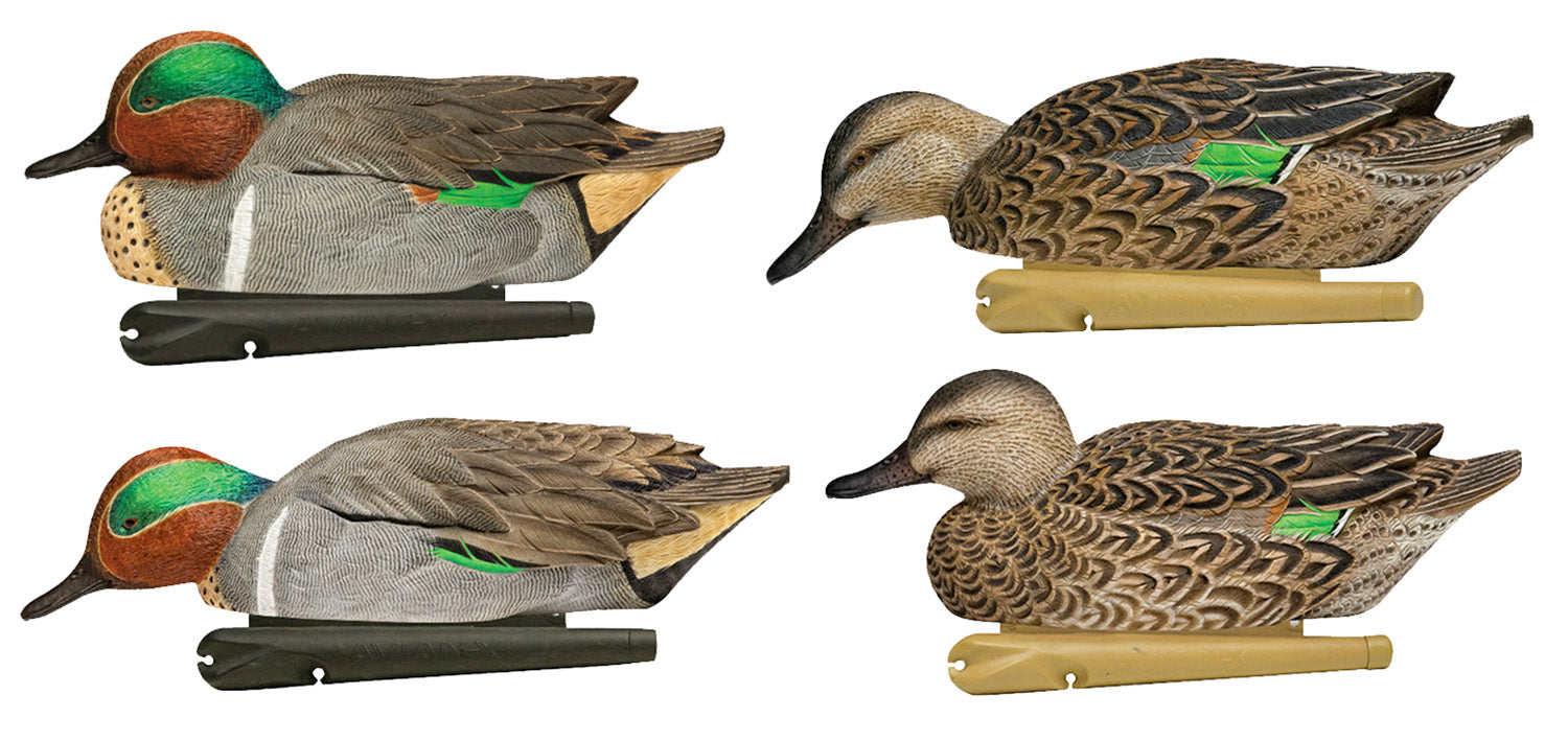 Avian X AVXAVX8081 Topflight Green-Winged Teal Floating Duck Decoys Multi-Color 6 Pack