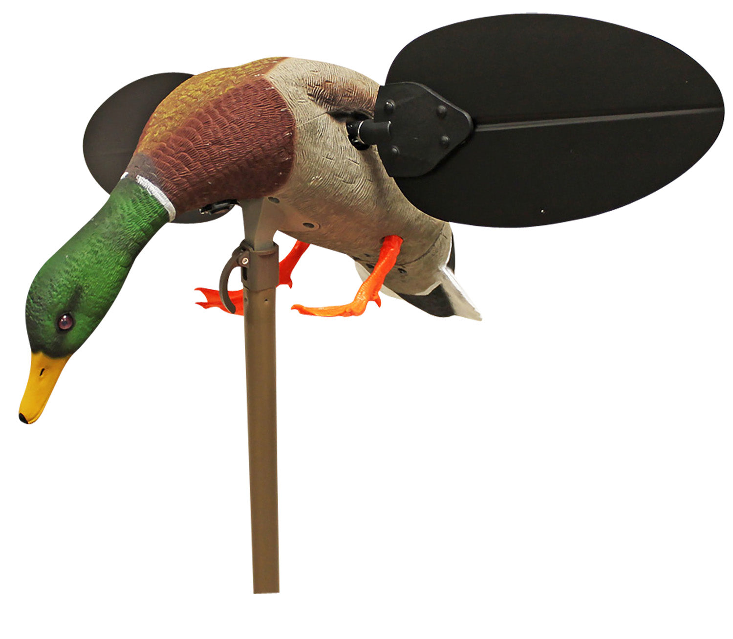 Mojo Outdoors HW2533 Mallard Drake Motorized Spinning Wing Decoy with Remote Control, Multi Color
