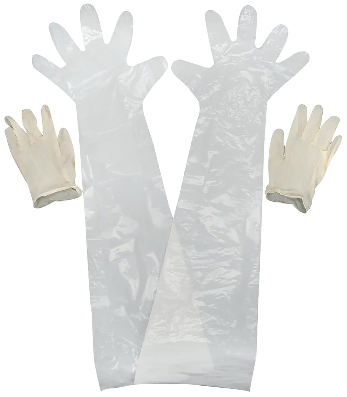 Allen 51 Field Dressing Gloves Clear Shoulder/Wrist Latex 2 Pack