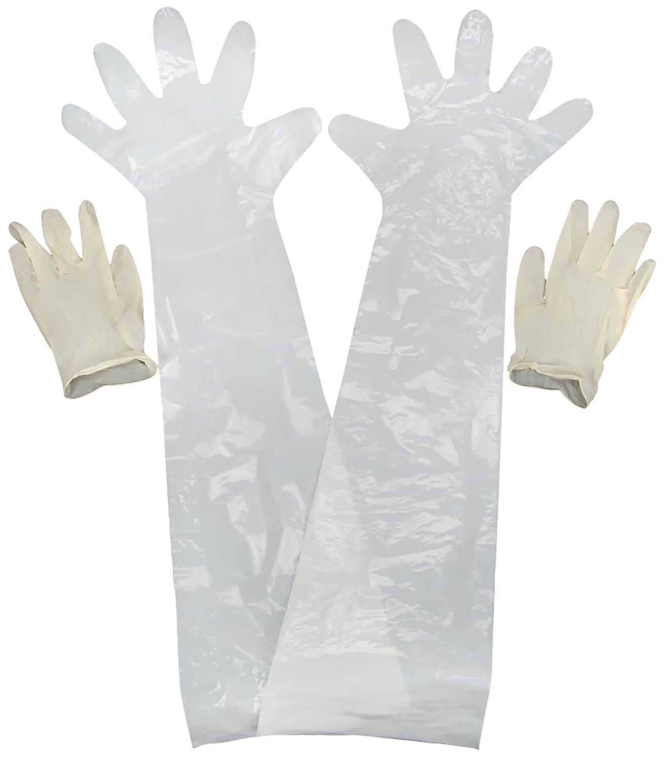 Allen 51 Field Dressing Gloves Clear Shoulder/Wrist Latex 2 Pack