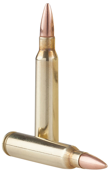 Prvi Partizan Tr&z Range Master 5.56x45mm NATO 55 gr FMJ ammo