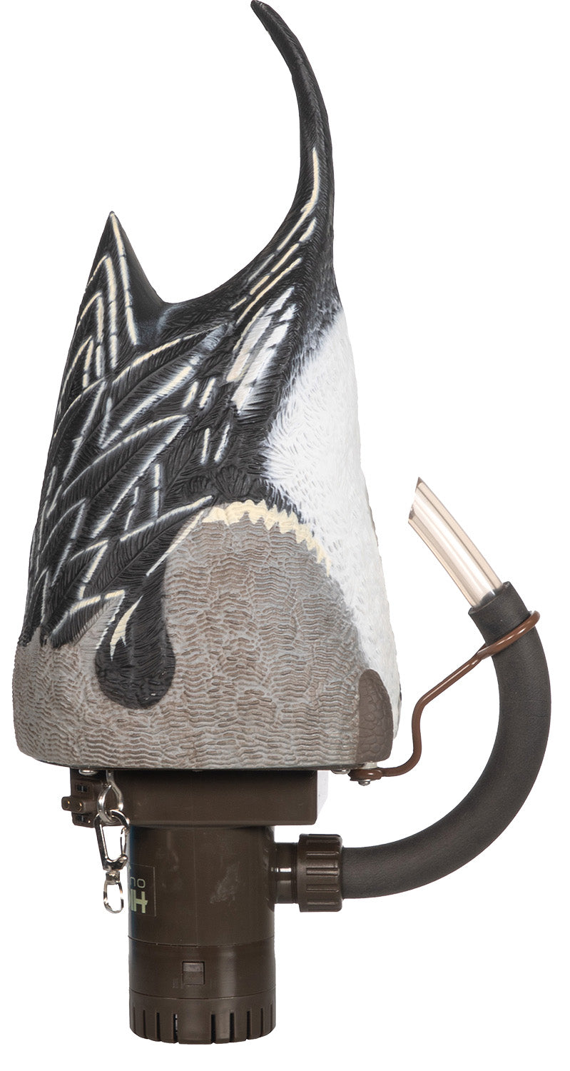 Higdon Outdoors 54573 Pro Pintail Pulsator Motion Duck Decoy Pintail Species