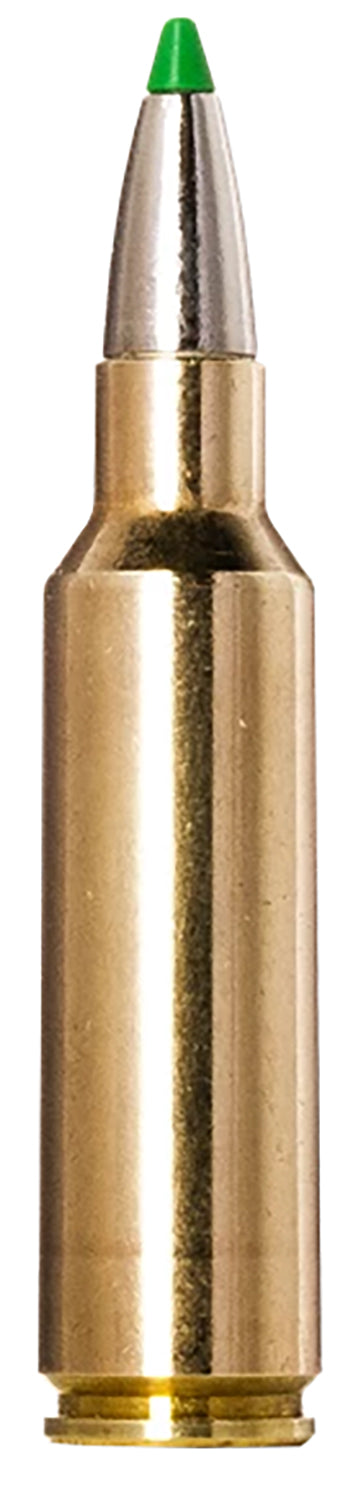 Norma Ecostrike .300 WSM 165 gr PolyTip ammo