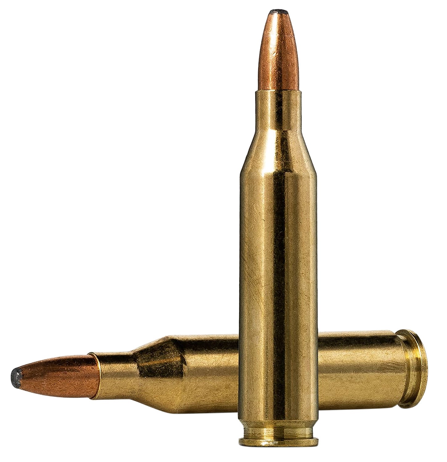 Norma Oryx .243 Winchester 100 gr BSP ammo