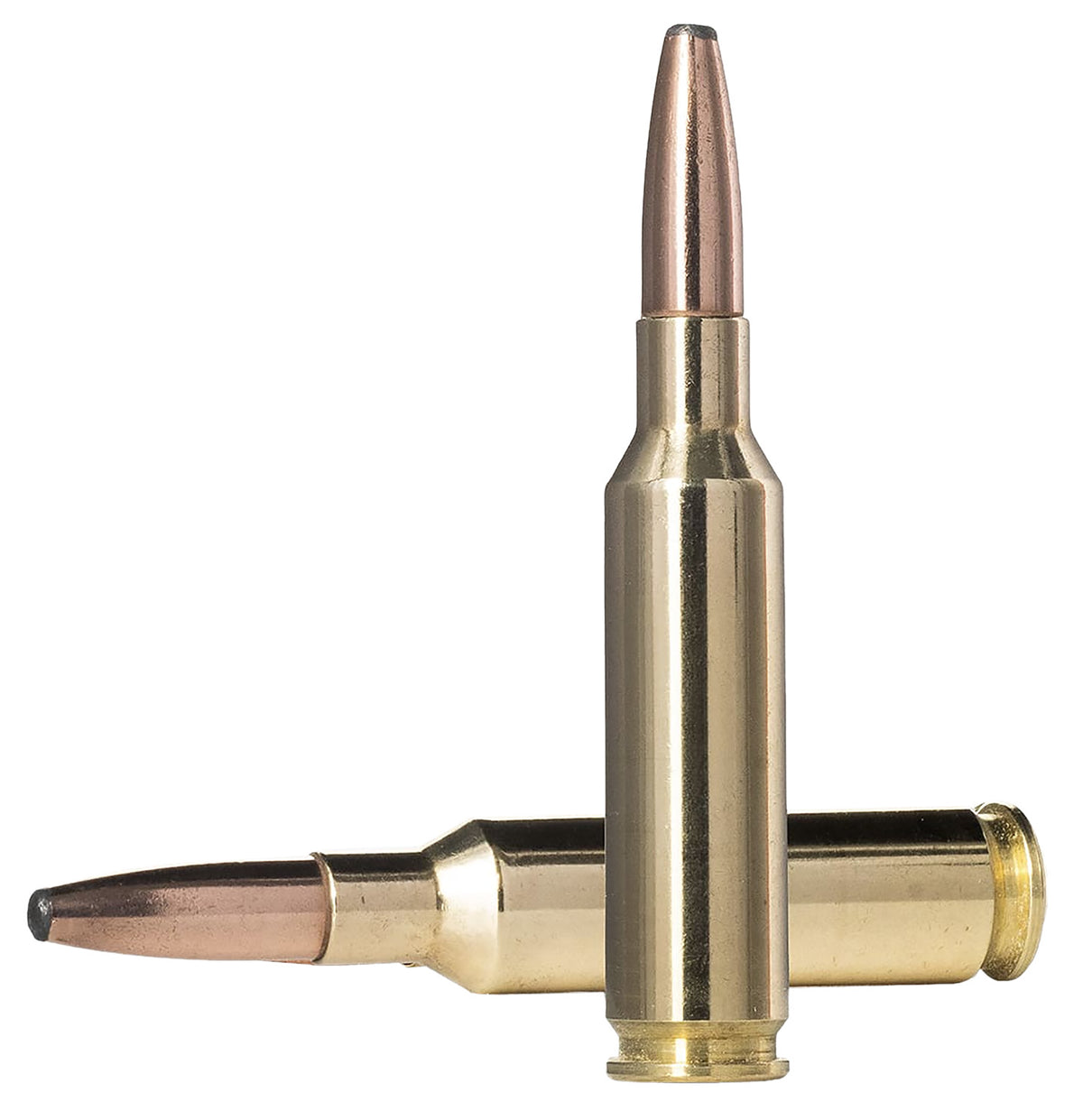 Norma 20166442 Oryx Bonded Soft Point  156 Grain 6.5mm Creedmoor
