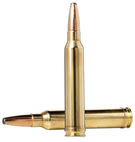 Norma Oryx .22-250 Remington 55 gr BSP ammo