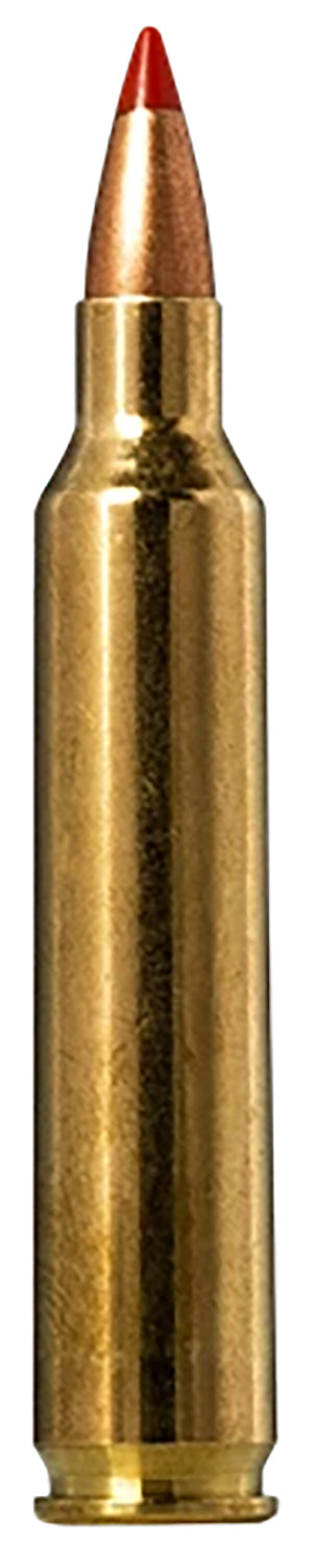Norma Tipstrike .204 Ruger 40 gr PolyTip ammo
