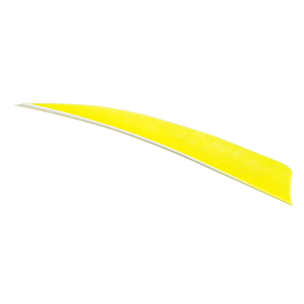Trueflight 5 in. Shield Cut Chartreuse Right Wing Arrow Feathers 100 Pack