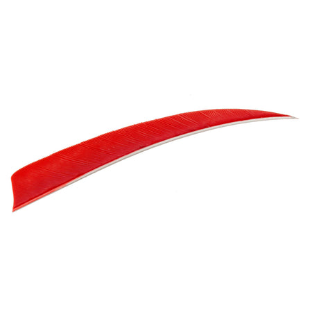 Trueflight 5 in. Shield Cut Red Left Wing Arrow Feathers 100 Pack