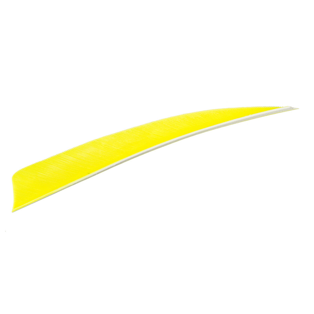 Trueflight Shield Cut Feathers Chartreuse 4 in. Left Wing 100 Pack