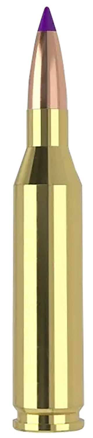 Nosler Ballistic Tip .243 Winchester 70 gr PolyTip ammo