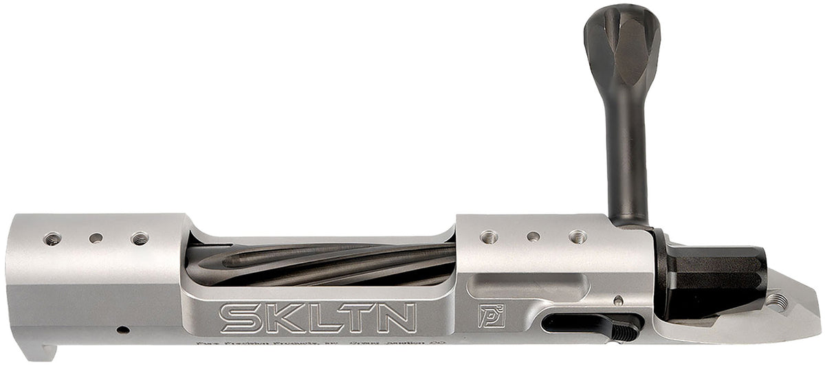 P2 IN-00279 SKLTN SA RH STANDARD SS