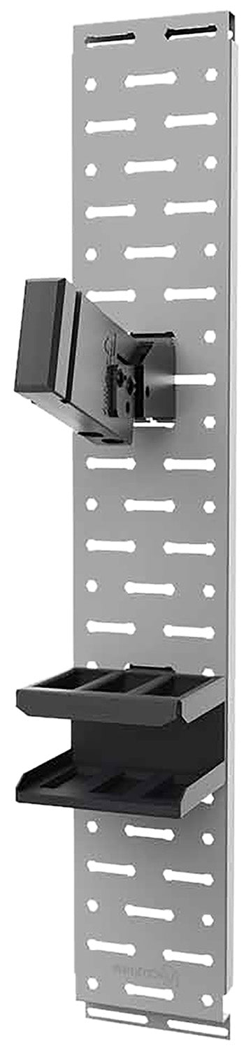 Lockdown 1207445 SecureWall AR-15 Storage Kit with 3-Magazine Capacity Black/Silver