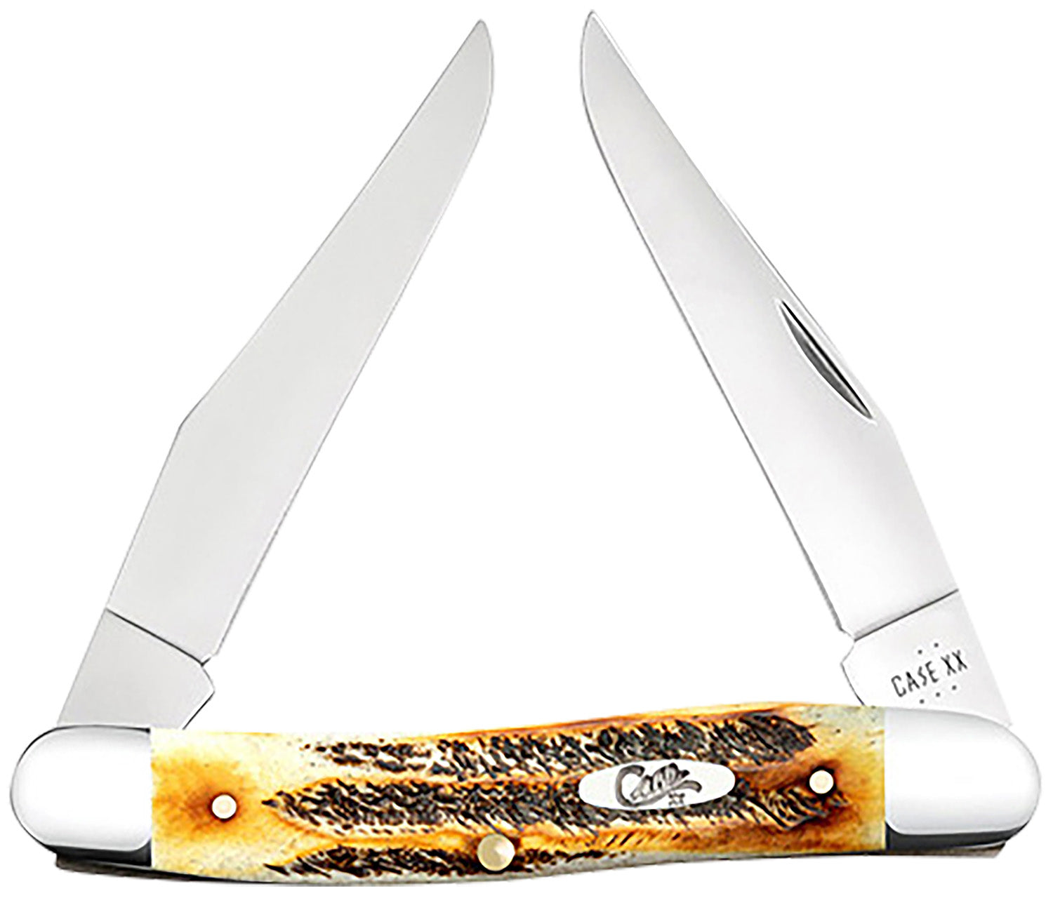 Case 65346 Muskrat 2.90" Folding Knife, Dual Clip Point Tru-Sharp SS Blades, Burnt Dark Amber BoneStag Handle