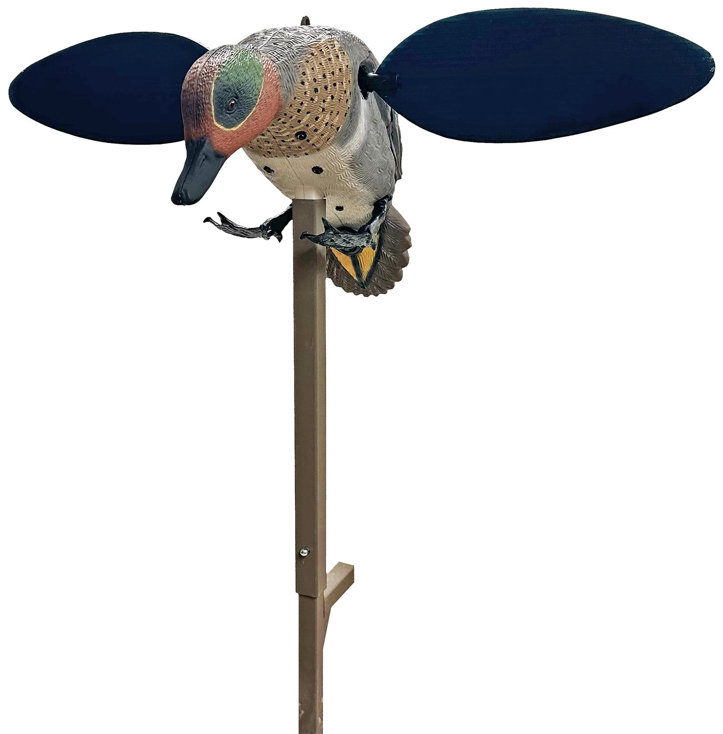 Mojo Outdoors HW2555 Green Winged Teal Dabbler Duck Motorized Spinning Wing Decoy