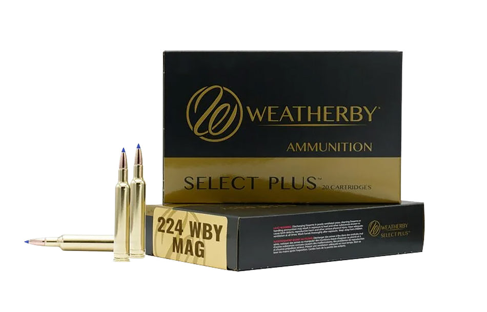 Weatherby  .224 Weatherby Mag 81 gr JHP ammo