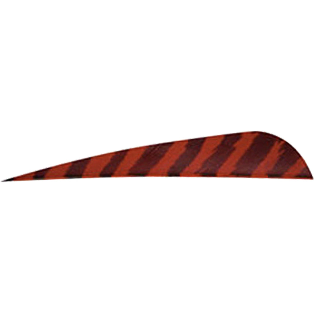 Gateway Barred Feathers Red 4 in. Right Wing 50-Pack Arrow Fletching