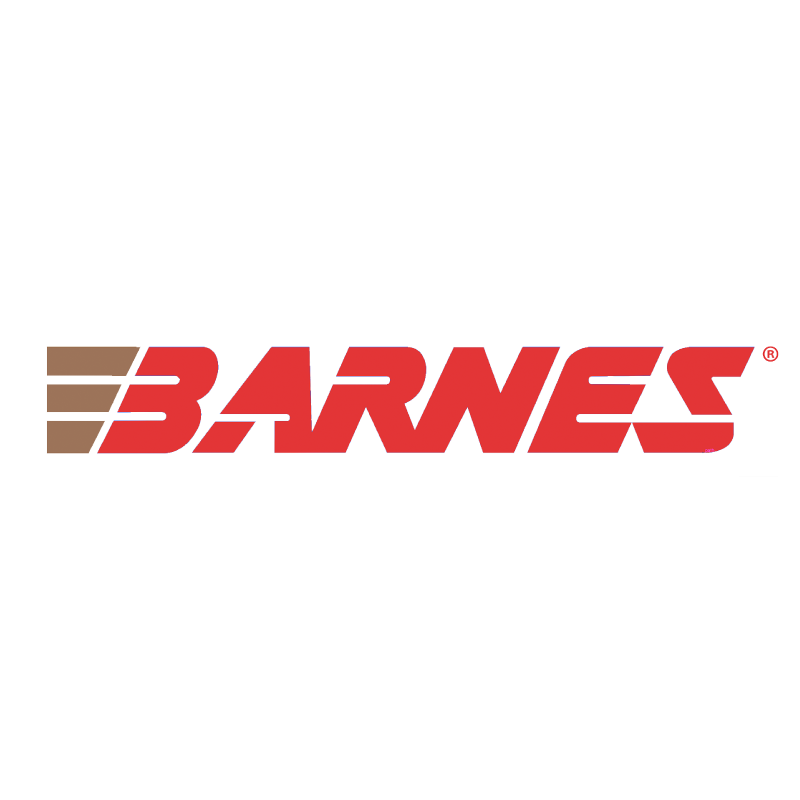 Barnes VOR-TX .300 RUM 165 gr PolyTip ammo