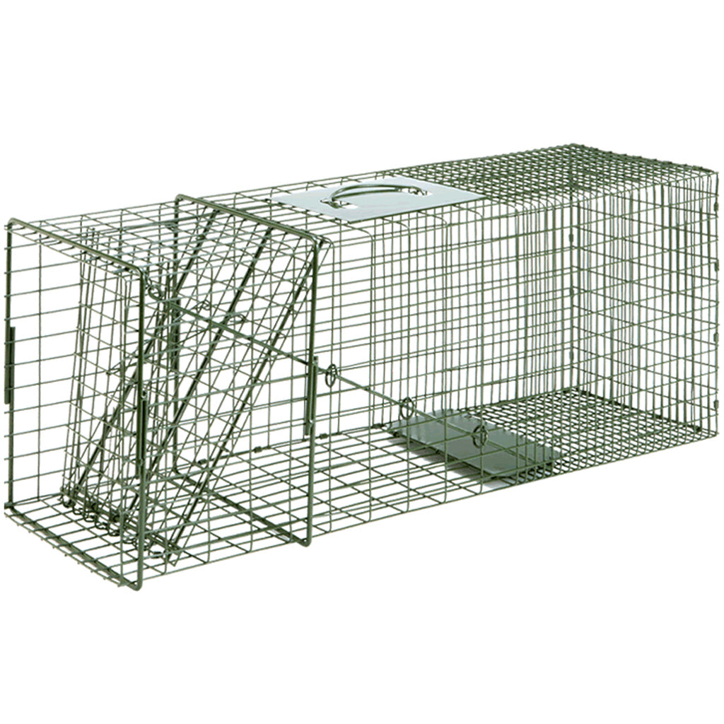 Duke Cage Trap No. 3 - 10x12x32 Inch Nuisance Animal Trap