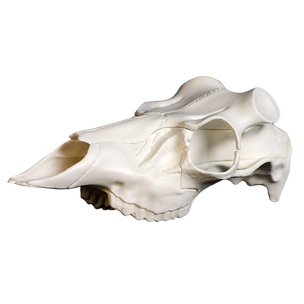 Mountain Mike's Skull Master Universal Antler Mounting Kit