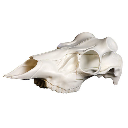 Mountain Mike's Skull Master Universal Antler Mounting Kit