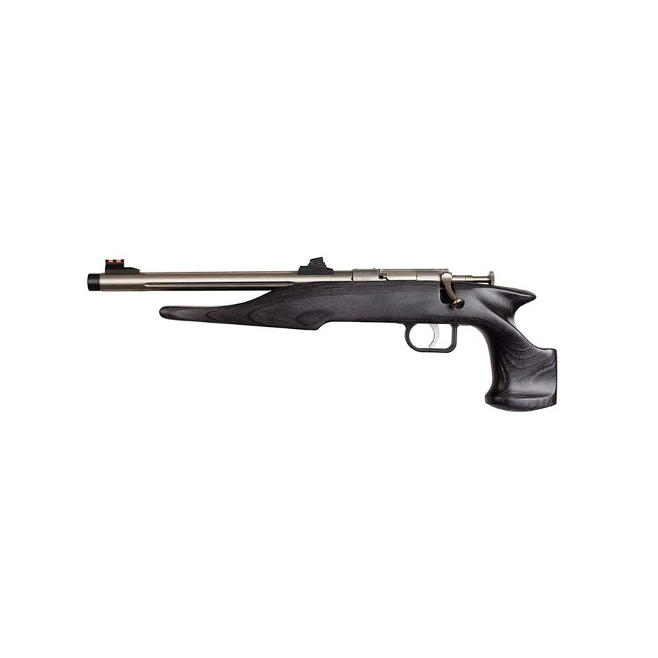 Chipmunk 40103 Hunter Youth Frame 22 LR Single Shot 9" Threaded Stainless Steel Barrel, Black Laminate Frame