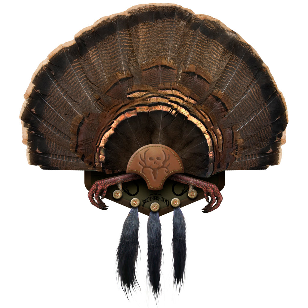 Mountain Mikes Beard Collector Turkey Beard Display 5 Beards