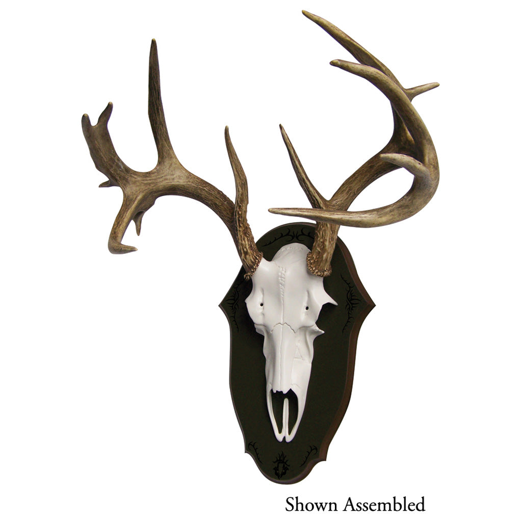 Mountain Mike's Black Forest Deer Antler Mounting Plaque Kit