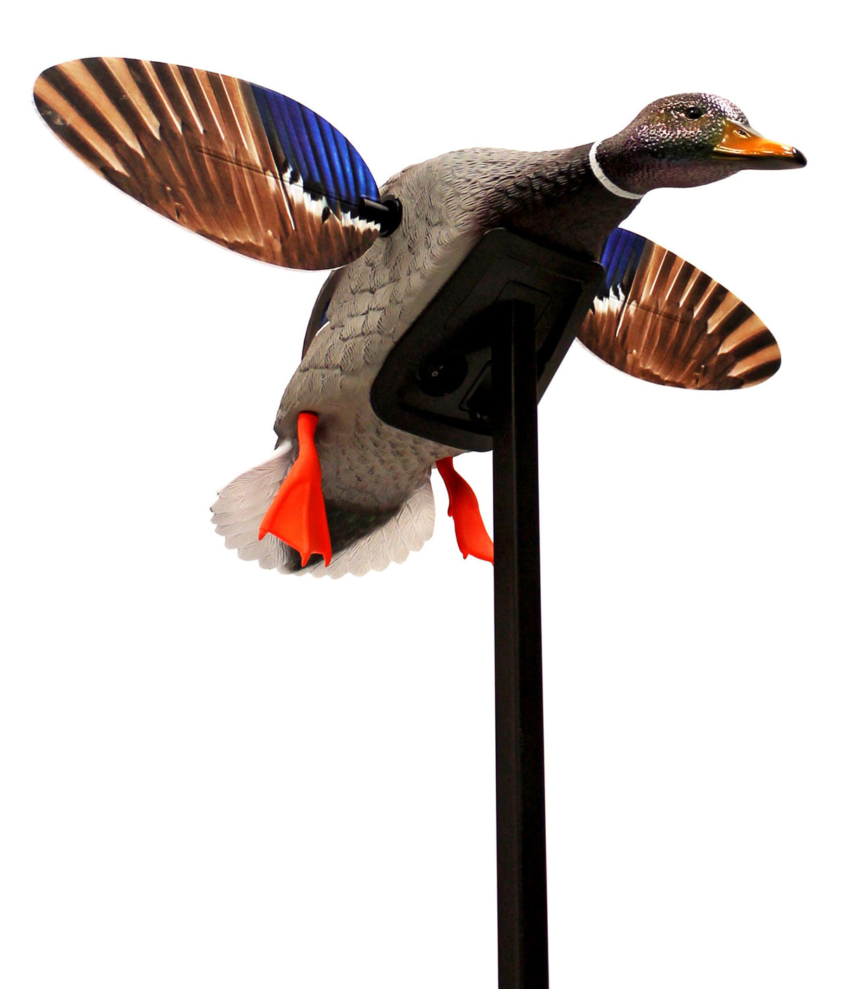 Mojo Outdoors HW24703P Elite Series Mini Mallard Drake Motorized Spinning Wing Decoy, Multi Color Plastic