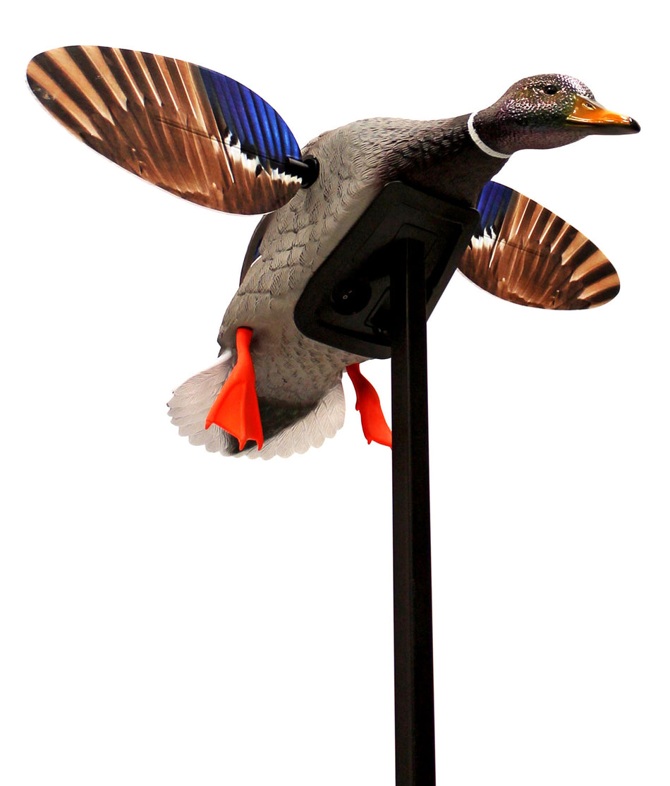 Mojo Outdoors HW24703P Elite Series Mini Mallard Drake Motorized Spinning Wing Decoy, Multi Color Plastic