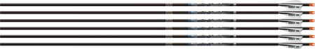 Easton Sonic 6.0 Match 300 Arrows with 3" AAE Hybrid Vanes 6-Pack