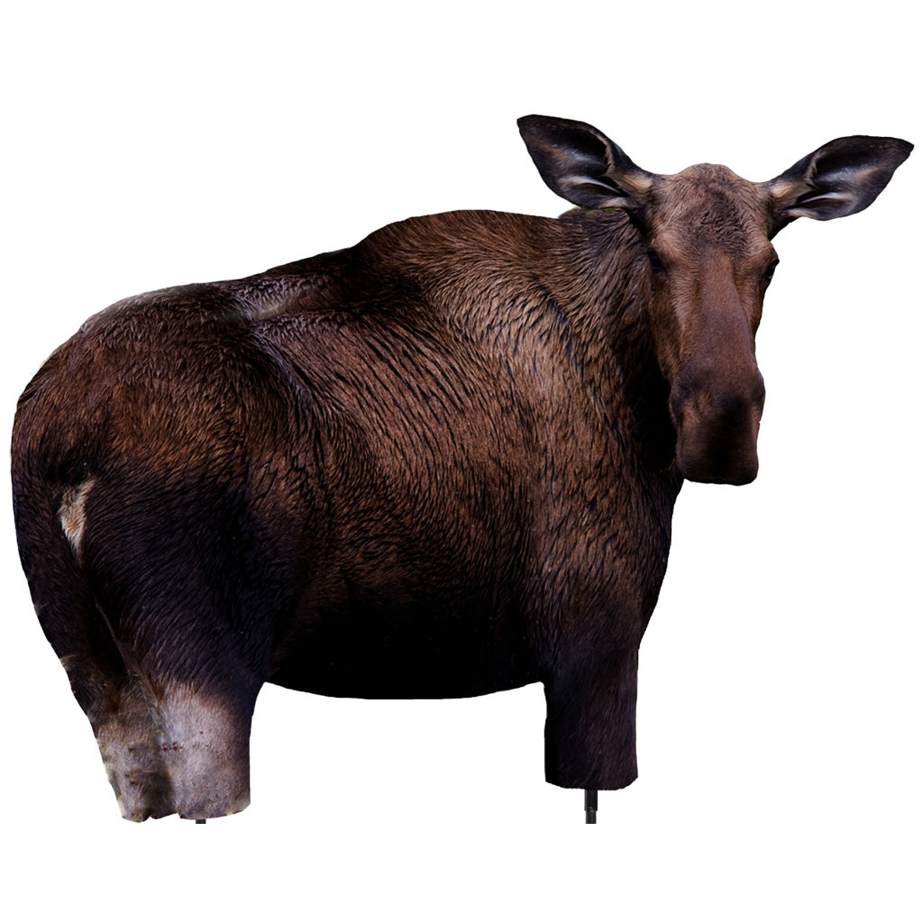 Montana Decoy Moose II Hunting Decoy