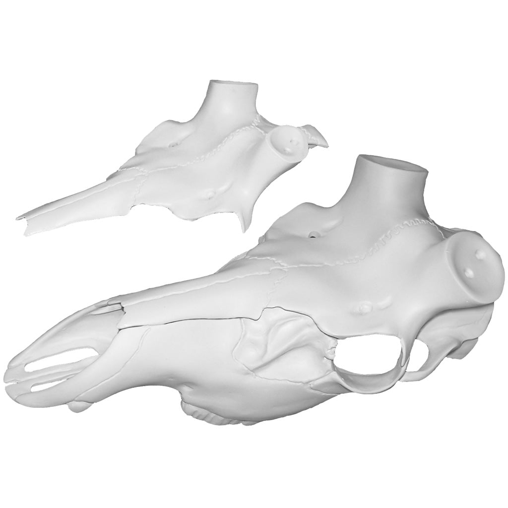 Mountain Mikes Skull Master Universal Elk Antler Mounting Kit