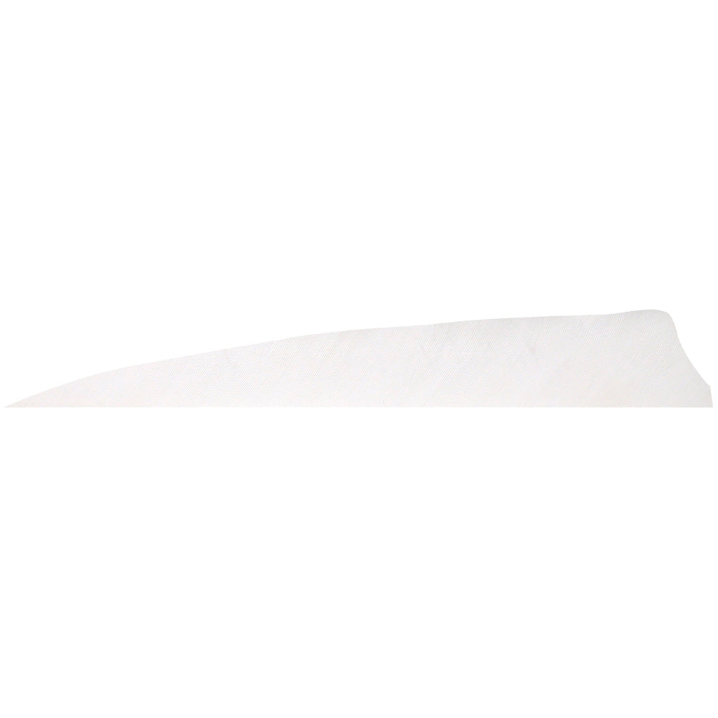 Gateway Shield Cut White Arrow Feathers 4 in. Right Wing 100 Pk.