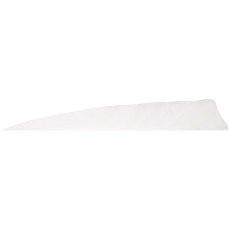 Gateway Shield Cut White Arrow Feathers 4 in. Right Wing 100 Pk.