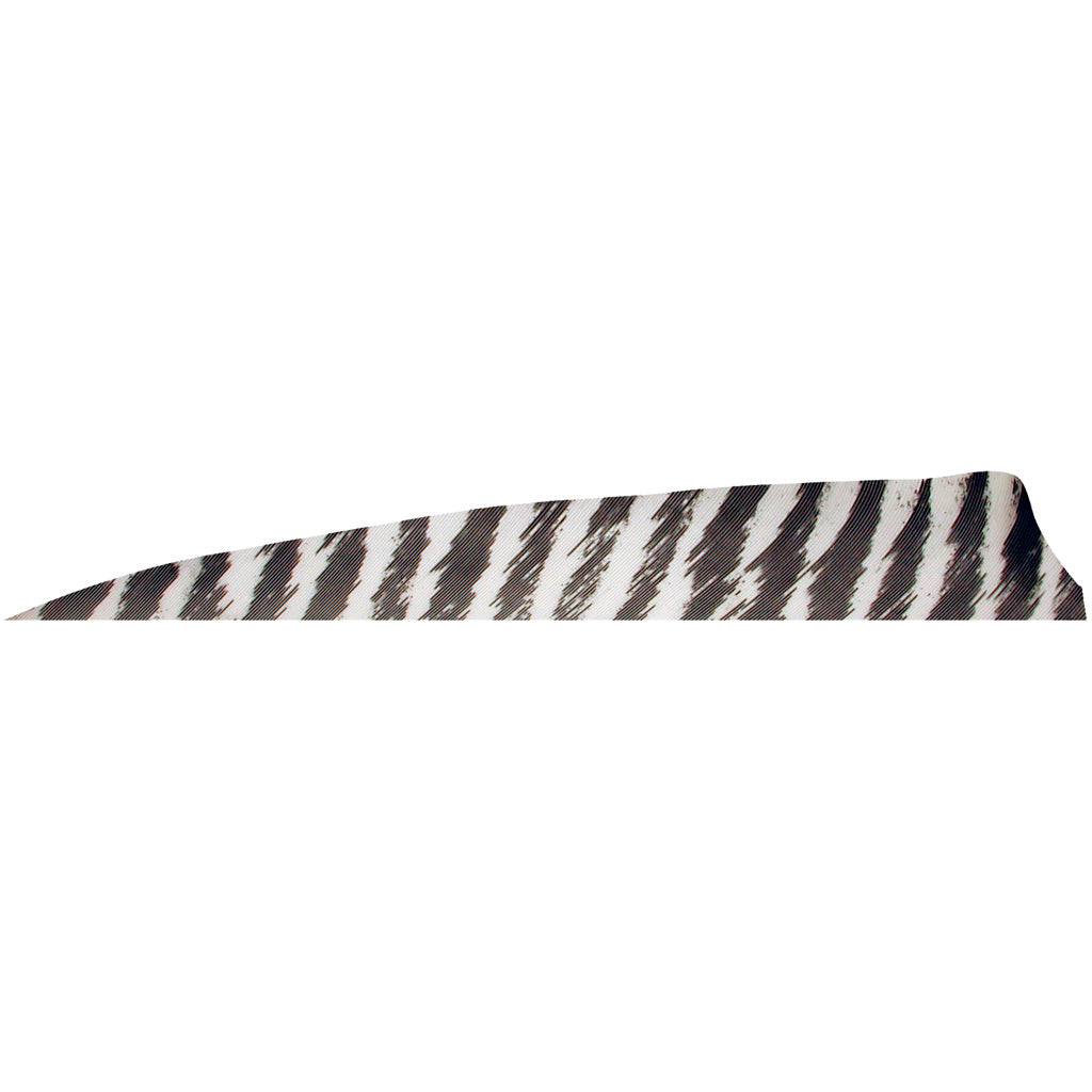 Gateway Shield Cut Barred White Arrow Feathers 4 in. Right Wing 100 Pk.