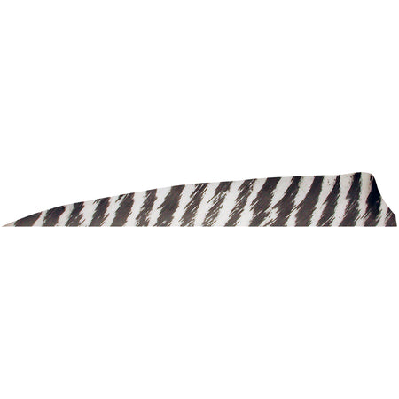 Gateway Shield Cut Barred White Arrow Feathers 4 in. Right Wing 100 Pk.