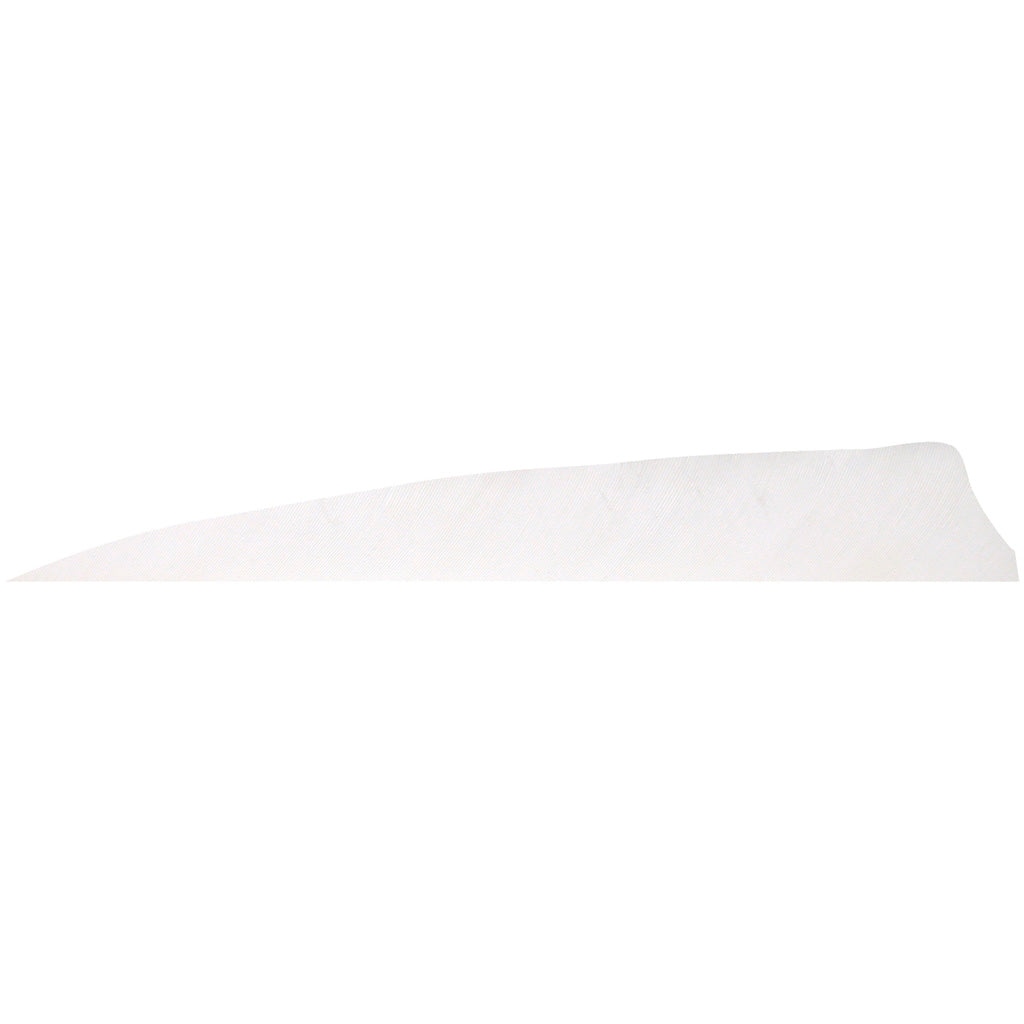 Gateway Shield Cut White Arrow Feathers 5 in. Right Wing 100 Pk.