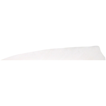 Gateway Shield Cut White Arrow Feathers 5 in. Right Wing 100 Pk.