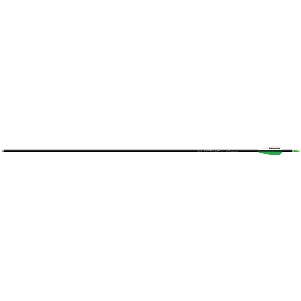 Easton Genesis 1820 Black Alloy Target Arrows 6-Pack