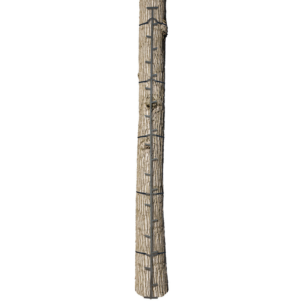 Big Game The Quick-Stick Steel Climbing Sticks 20 ft. Set