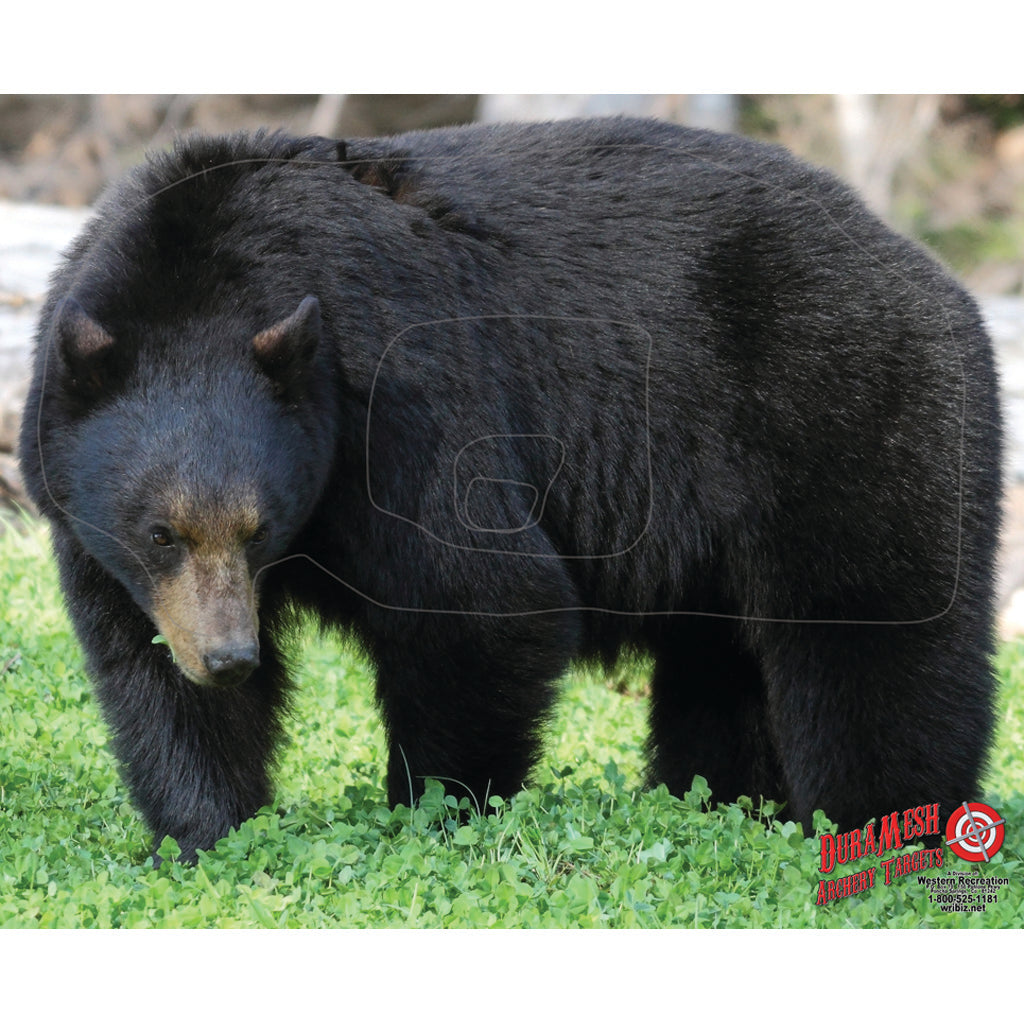 DuraMesh Archery Target - Black Bear 25 x 32 in.