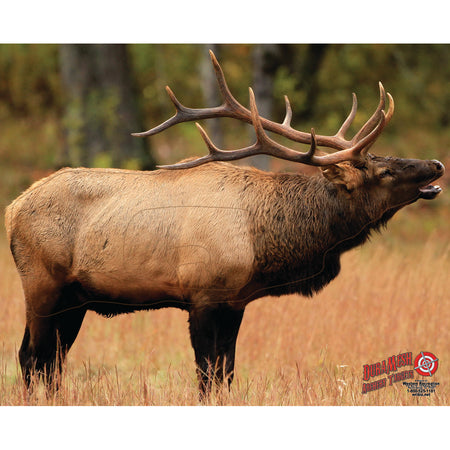 DuraMesh Archery Target - Elk 1, 25 in. x 32 in.