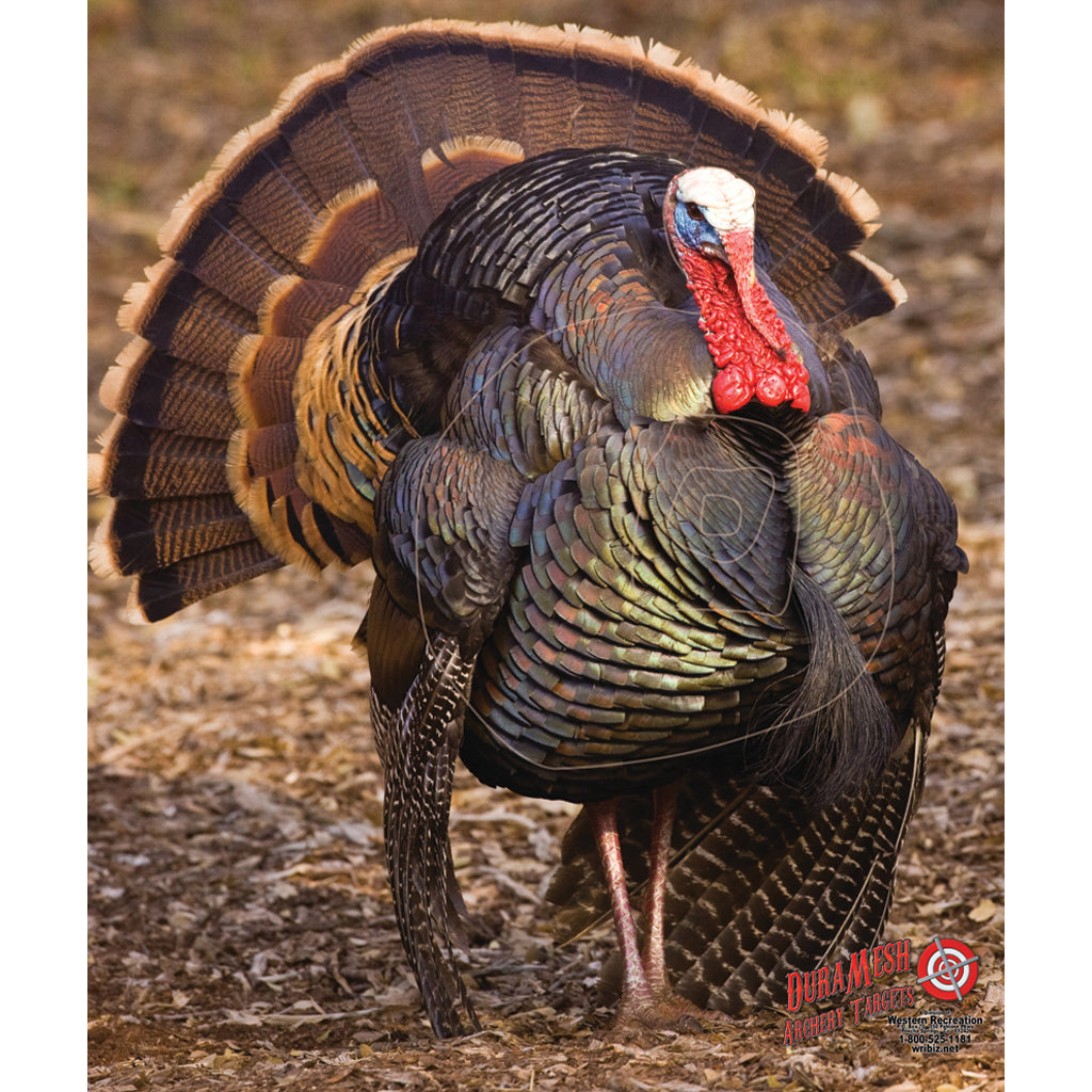 DuraMesh Archery Target - Turkey 3, 32 in. x 25 in.