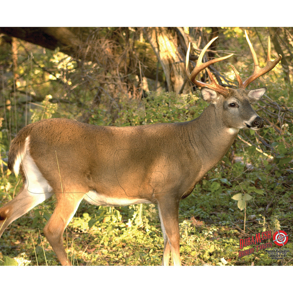 DuraMesh Archery Target - Whitetail 3, 25 in. x 32 in.