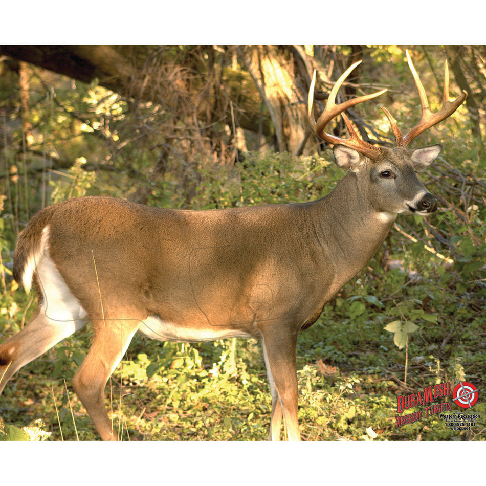DuraMesh Archery Target - Whitetail 3, 25 in. x 32 in.