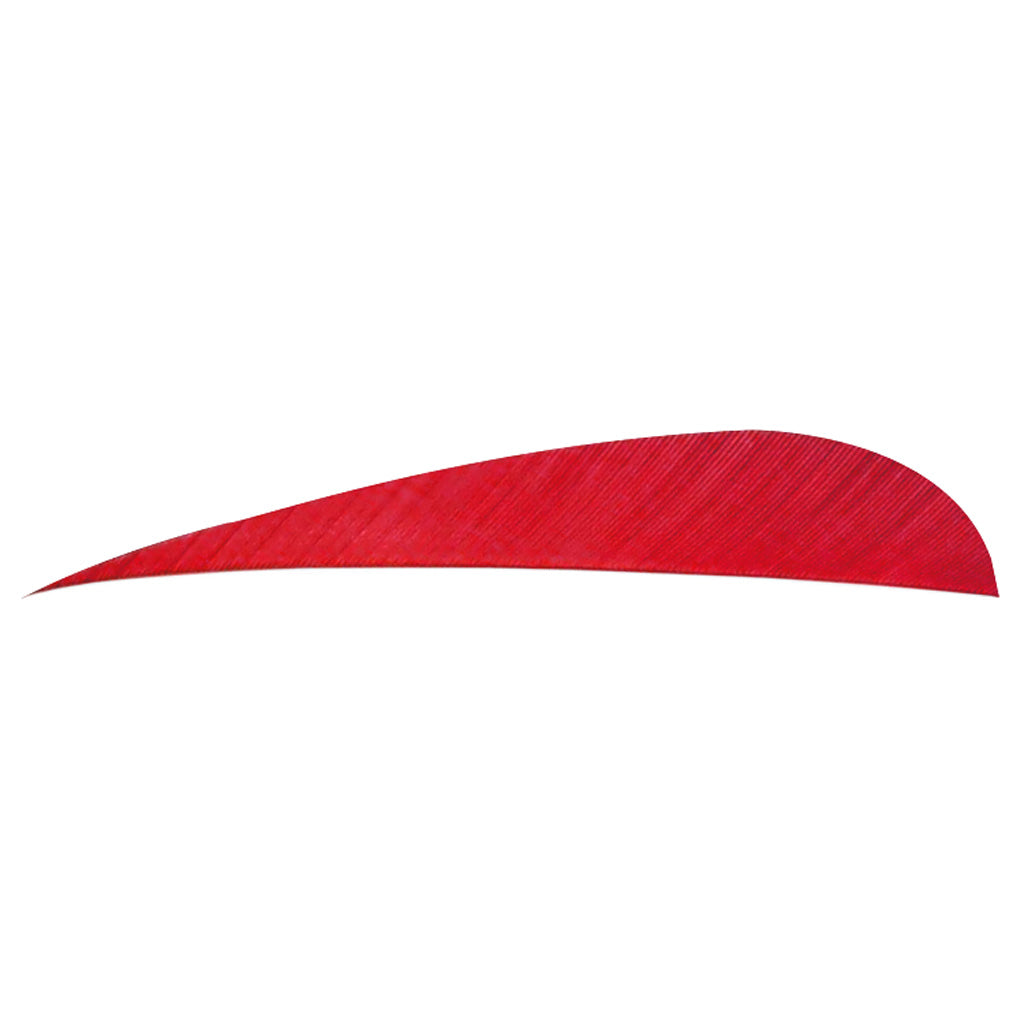 Trueflight 4 in. Parabolic Arrow Feathers Red RW 100 Pack